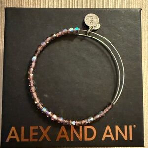 ⭐️ Alex and Ani: Iridescent Purple Bracelet